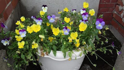 2014-07-15 08.30.36.jpg