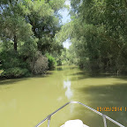 IMG_5770.JPG
