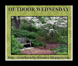 Outdoor-Wednesday-logo_thumb1_thumb1 Outdoor-Wednesday-logo_thumb1_thumb1