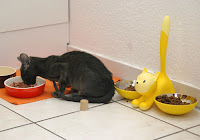 Den gelben Katzen-Napf hat Éli an ihrem ersten Tag hier angeknurrt. *lach