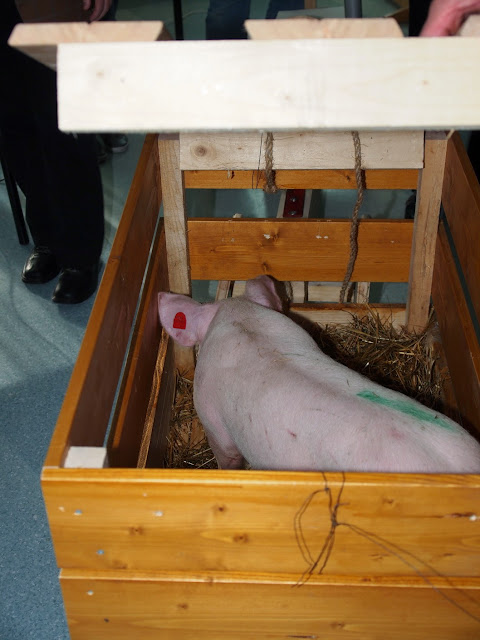 2014_Jandl_Abschiedsfeier028.JPG