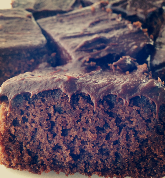 Gluten Free, Dairy Free, Egg Free Brownies