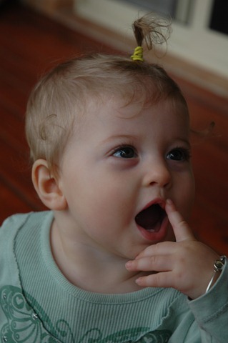 [Apr-May%25202012%2520043%255B3%255D.jpg]
