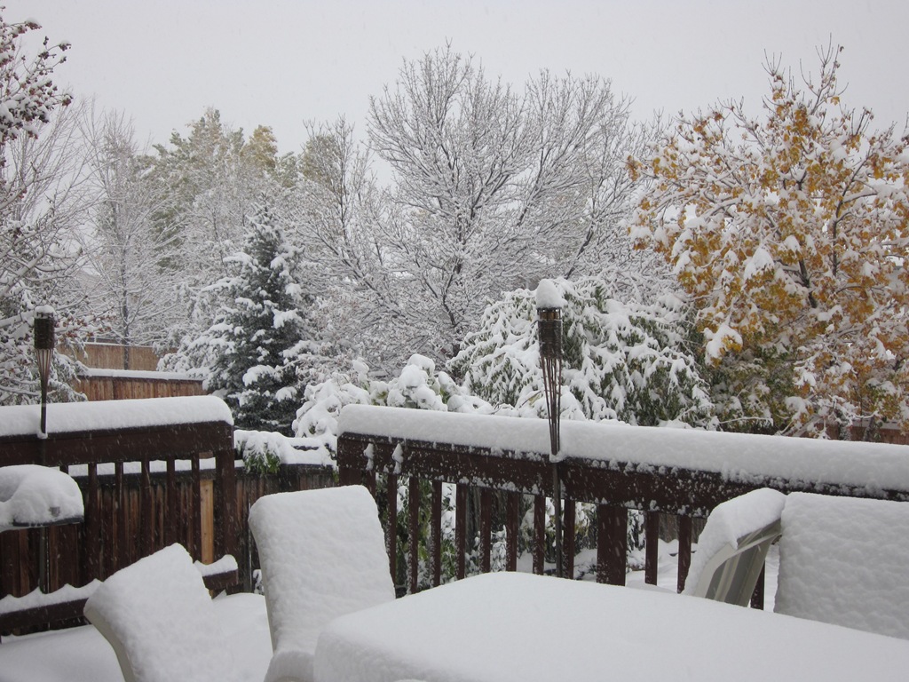 [Snow%2520Oct%25202011%255B7%255D.jpg]