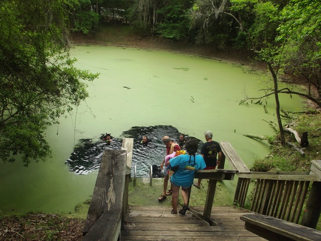 [Saturday%2520at%2520Manatee%2520Springs%2520058%255B3%255D.jpg]