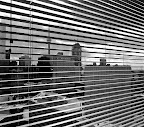 WP_000413-2.jpg