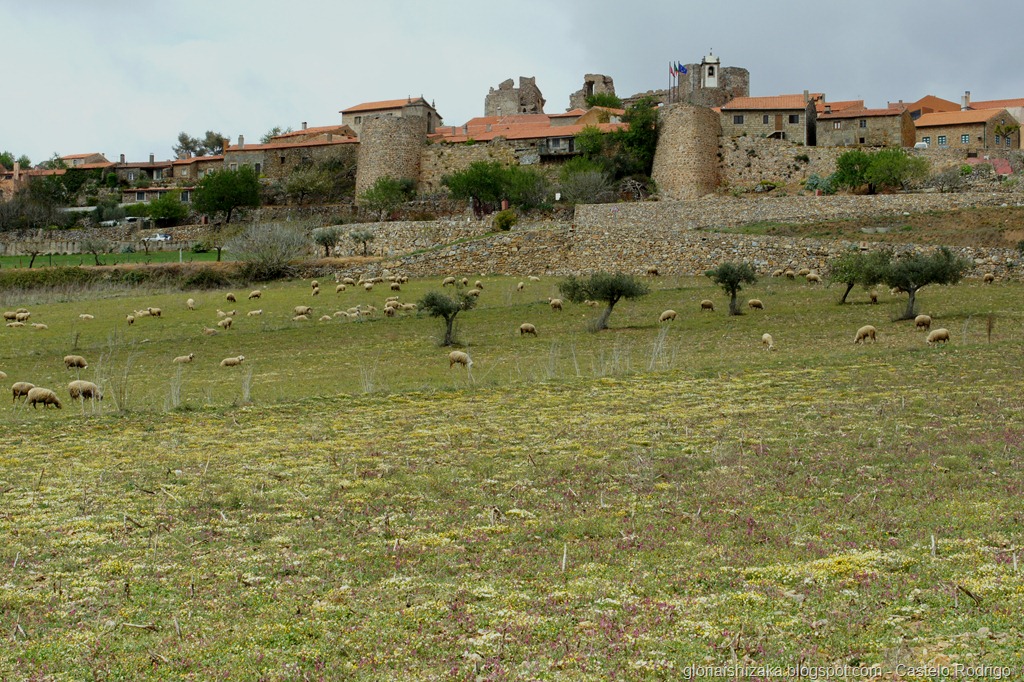 [Gl%25C3%25B3ria%2520Ishizaka%2520-%2520Castelo%2520Rodrigo%25204%255B1%255D.jpg]