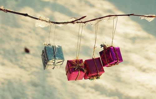 [winter-photography008_large%255B2%255D.jpg]
