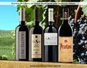 [tops-ribera-del-duero-peninsula-vinhos%255B4%255D.jpg]