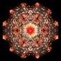 Gold Panda_Half Of Where You Live Gold Panda_Half Of Where You Live