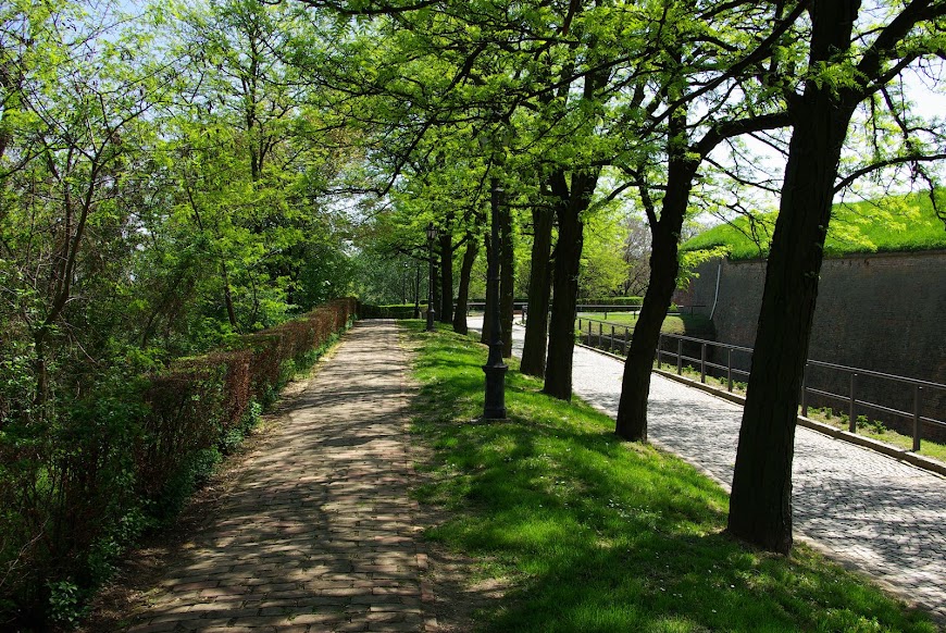 Novi Sad