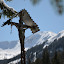 DSC_0232.JPG