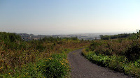 SDC18614.JPG Photo