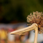 DSC_1507-1.JPG