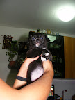 DSCF0473.JPG
