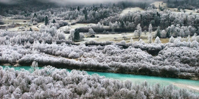 Tema Soca_2N_Suzana Cotar_Modra linija.jpg