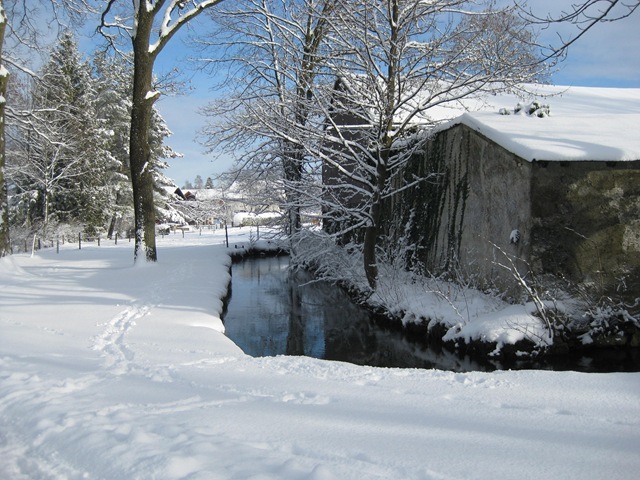 [IMG_0830%255B3%255D%255B3%255D.jpg]