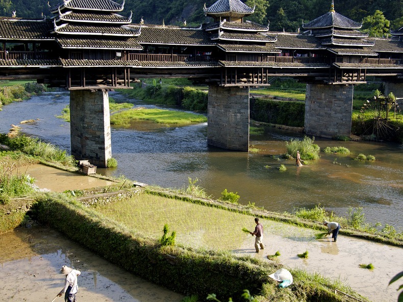 chengyang-bridge-5 chengyang-bridge-5