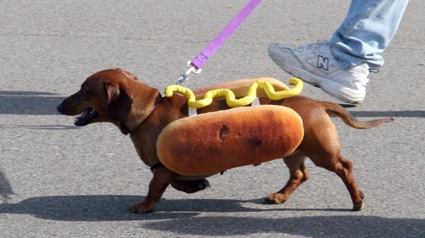 [hotdog5.jpg]