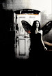 Flying Angel Of Life