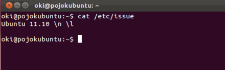 cat-issue cat-issue
