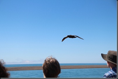 IMG_0550 IMG_0550