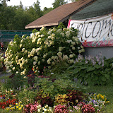 DisplayGardensJuly202011 DisplayGardensJuly202011