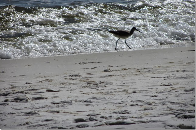 IMG_2356 IMG_2356