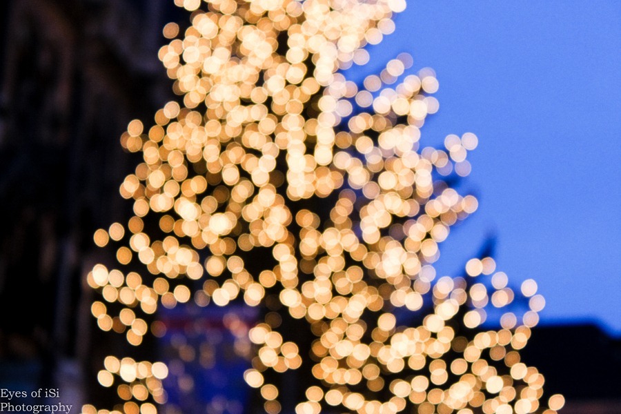 [Eyes-of-iSi-Christkindlmarkt-M%25C3%25BCnchen-Tannenbaum-Unscharf%255B3%255D.jpg]