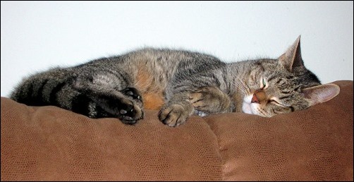Martin on the couch Martin on the couch