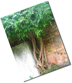 DSCN2535 DSCN2535