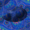 next_fractal_thing_2_mundhenk_com.jpg