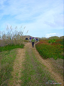 [P11202194.jpg]