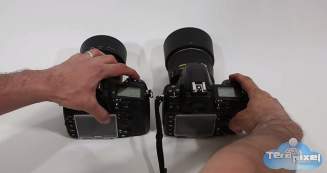 nikon-d800-vs-nikon-d700-fps-teaser-terapixel.jpg