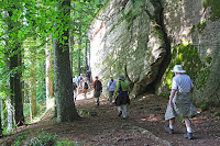 Following forest rail