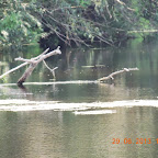 DSCN8249.JPG