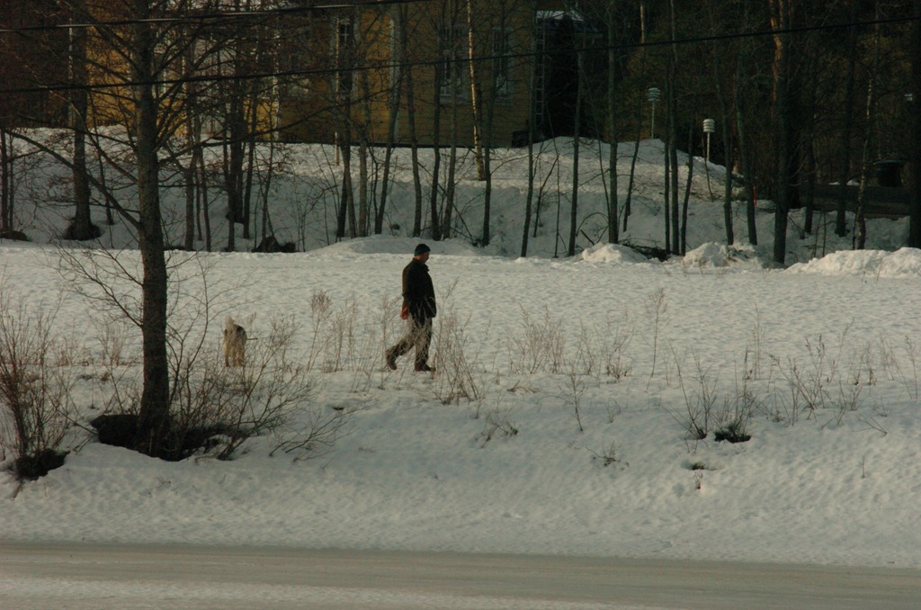 [lintuja%2520mustarastas%2520tikka%2520hevonen%2520052%255B5%255D.jpg]