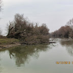 IMG_1562.JPG