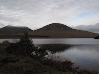 IMG_2908.JPG Photo