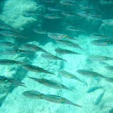 IMG_0509.JPG