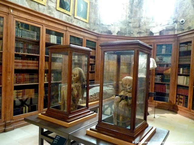 momias-museo-do-carmo-lisboa.JPG