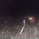 ICAM0023.JPG