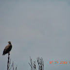DSCN9667.JPG