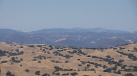 DSC02991.jpg