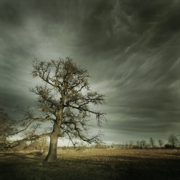 artlimited_img8859.jpg Artlimited img8859