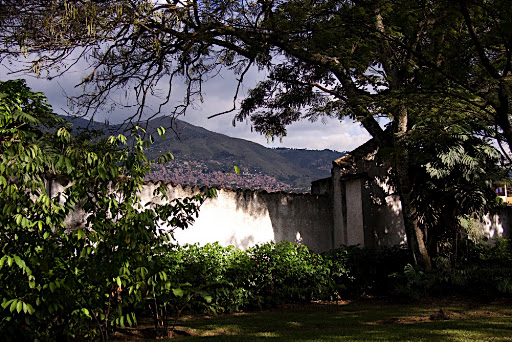 The city of Medellin outside the walls of the botanical gardens