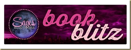 bookblitz banner