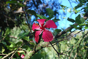 DSC_0003.JPG