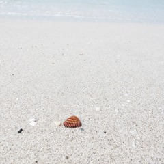IMG_0595