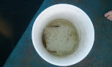 2011-08-07 19.59.28.jpg
